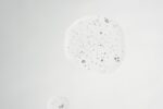 AQP3 BIOTIC CLEANSING - Imagen 4